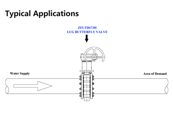 Lug Butterfly Valve Installation and Commissioning