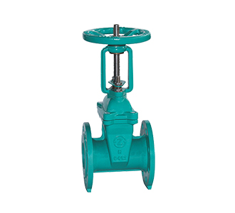 Ductile Iron Gate Valve