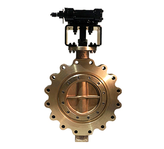 Lug Butterfly Valve