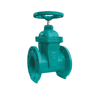 Resilient Seated Gate Valve